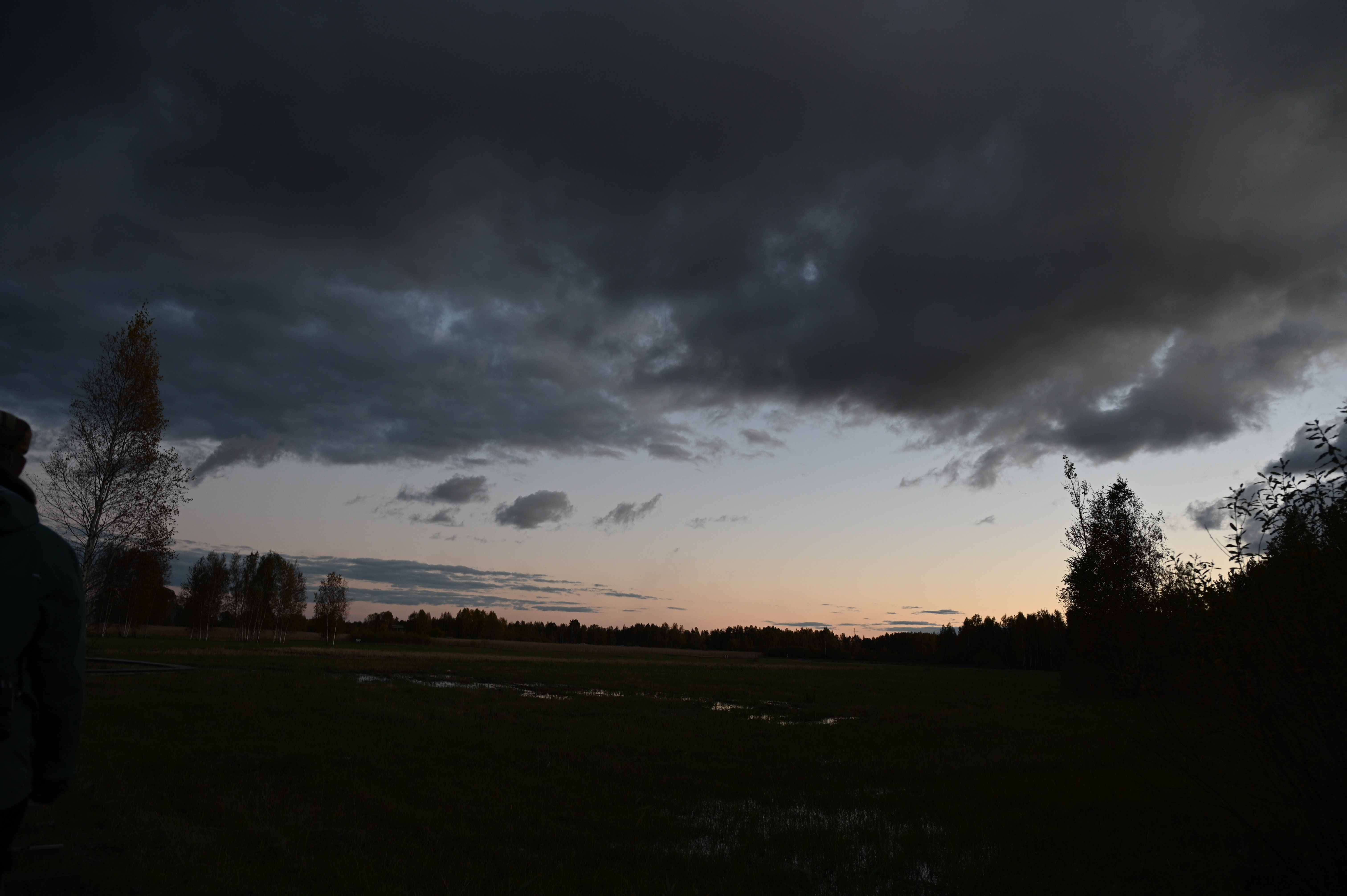 2025/10/18 - walk/DSC_0546.JPG